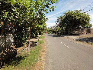 迷いこんじゃったよ