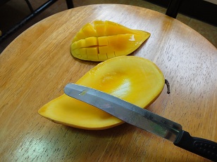 新鮮ですねーーー