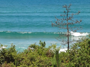 東浜のブレイクですがオンショア