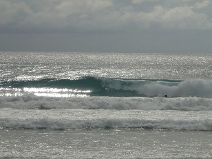 いい波ですねーーー