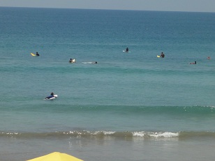 パドマも波が無いですねーーー