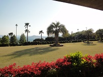 宿泊施設の南国チックなお庭