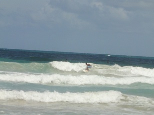 カタのビーチボーイ「アレックス」のライディング