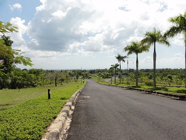 不必要な広い道