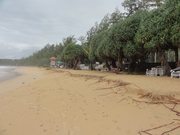 砂をガッツリ持っていかれました