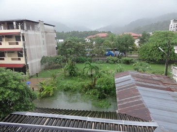 庭が池みたいになってるわ