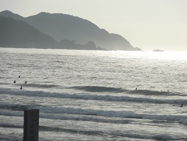 無風の尾崎でサーフィン