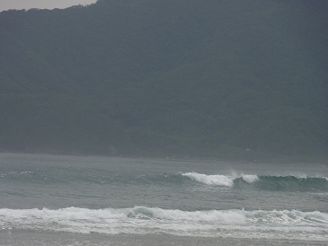 いつもタルメな波の羽尾