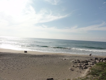 青谷メインポイント