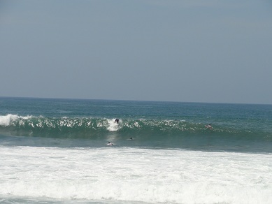 波が大きくてもたまに綺麗な波が入ってきます