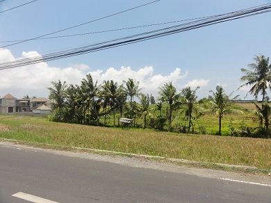 写真では見えにくいが、棚田が見えます