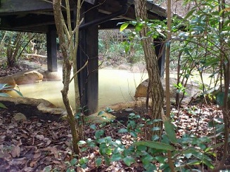 筌の口温泉、新清館