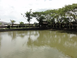 クタにある釣り堀