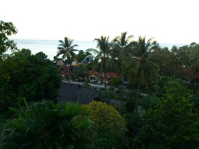 客室からの朝の眺め