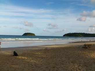 波無いね～～～