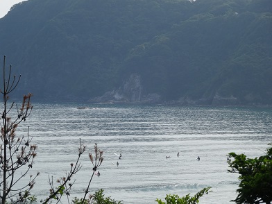 綺麗なウネリが届く東浜ビーチ
