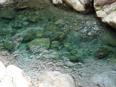 メチャクチャ綺麗な水が流れている川