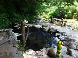 大分県明礬温泉のへびん湯２