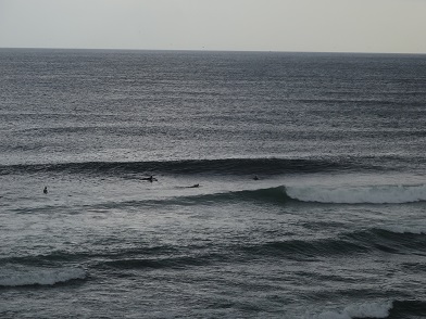 仙台新港はウネリがシフトしてきますな