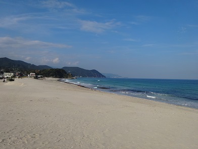 伊豆の白浜の左側