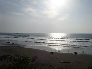 中村平野ビーチ正面