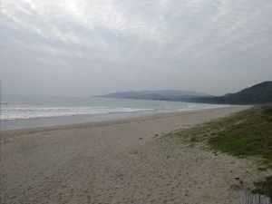 大岐の浜の全景