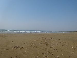 柴垣ギャラリー