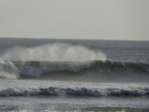 ちょっと早い波のオベロイ