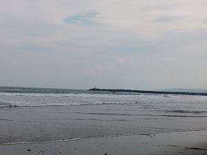 サーファーのいない入野