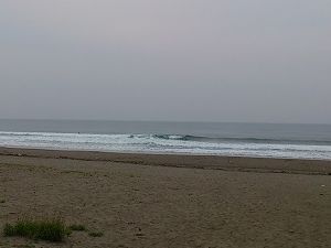 サイズの落ちた入野