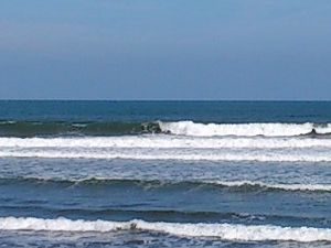 木崎浜のいい波