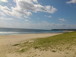 種子島南部のビーチ