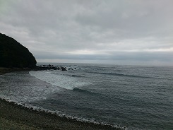 中村の某リーフ