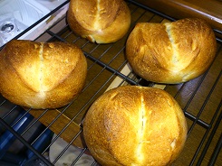 自家製酵母の田舎パン