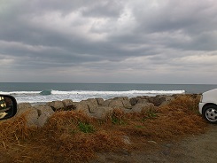 リーフはサイズなし