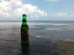 チャングーとビンタン