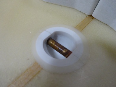 リーシュカップのひび割れ