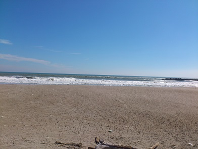 台風うねりで爆裂中の伊良湖ロコビーチ