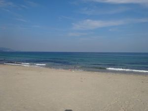 白浜サーフィンポイントの正面